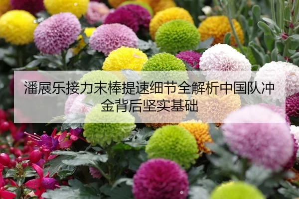 潘展乐接力末棒提速细节全解析中国队冲金背后坚实基础