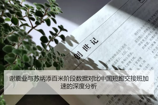 谢震业与苏炳添百米阶段数据对比中国短跑交接班加速的深度分析