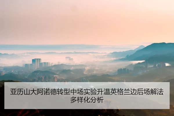 ya-li-shan-da-a-nuo-de-zhuan-xing-zhong-chang-shi-yan-sheng-wen-ying-ge-lan-bian-hou-chang-xie-fa-duo-yang-hua-fen-xi-2-702.jpg